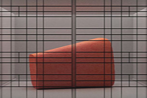 still / picture for A Metamorphosis