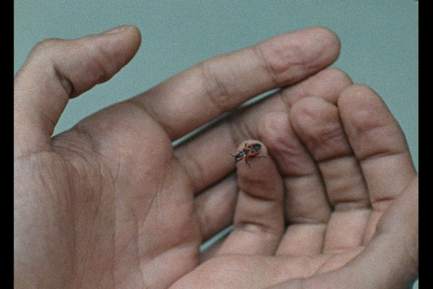 still / picture for Restbestand