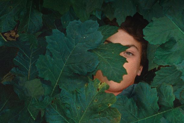 still / picture for A Metamorfose dos Pássaros