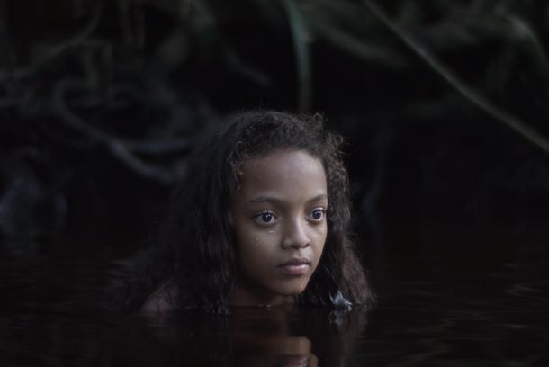 still / picture for SELVA
